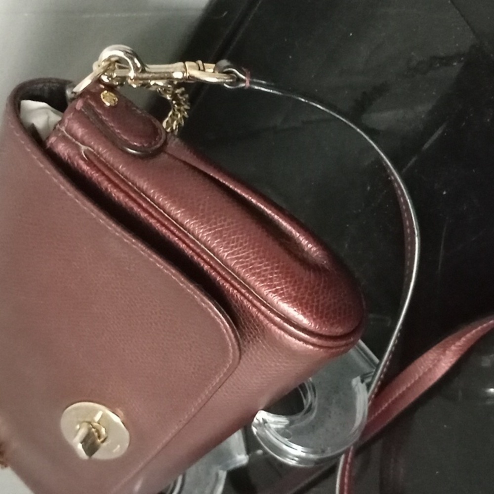Coach Mini Ruby Crossbody - Picture 3 of 13